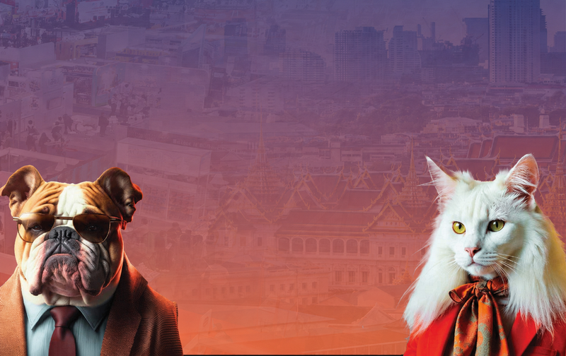 태국 방콕 펫페어 2026 brand background image
