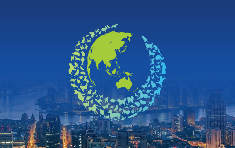 중국 펫 페어 아시아 2026 brand background image